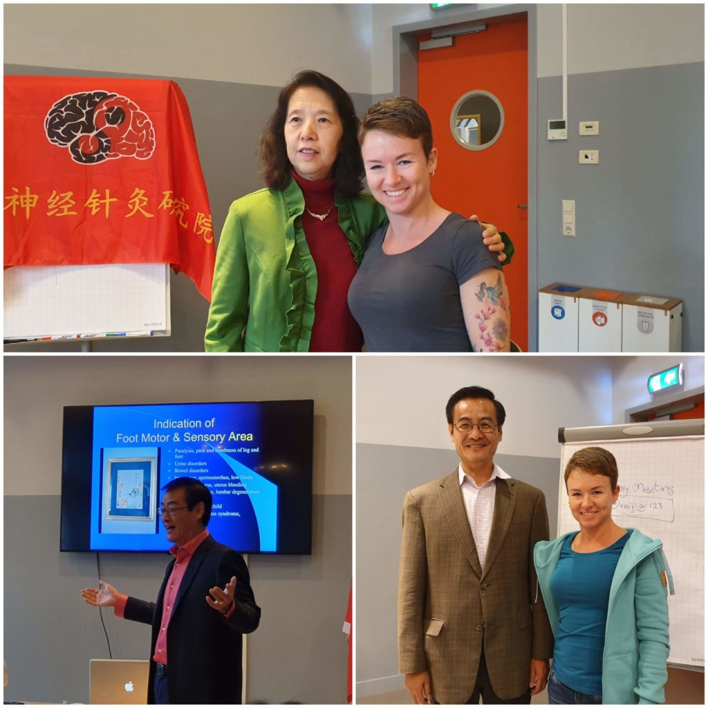 Weiterbildung Chinese Scalp Acupuncture in Amsterdam 2019 bei Dr. Linda & Jason Hao